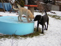 Argo a Tim-02-2005-108.jpg