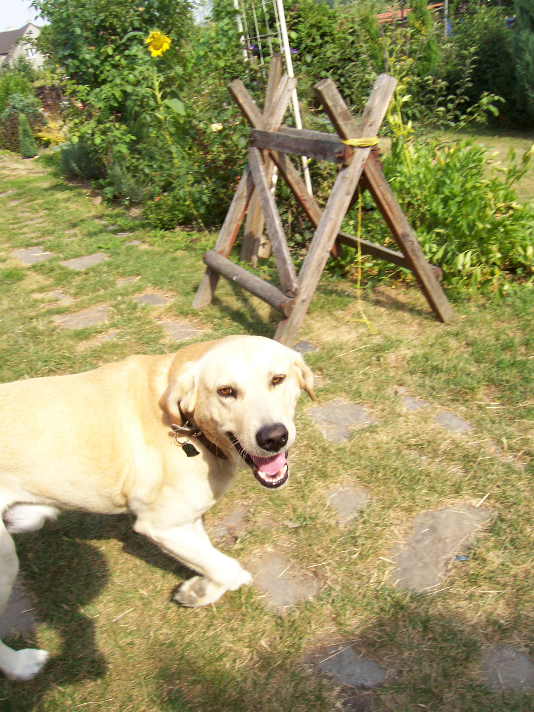 100_5440.JPG