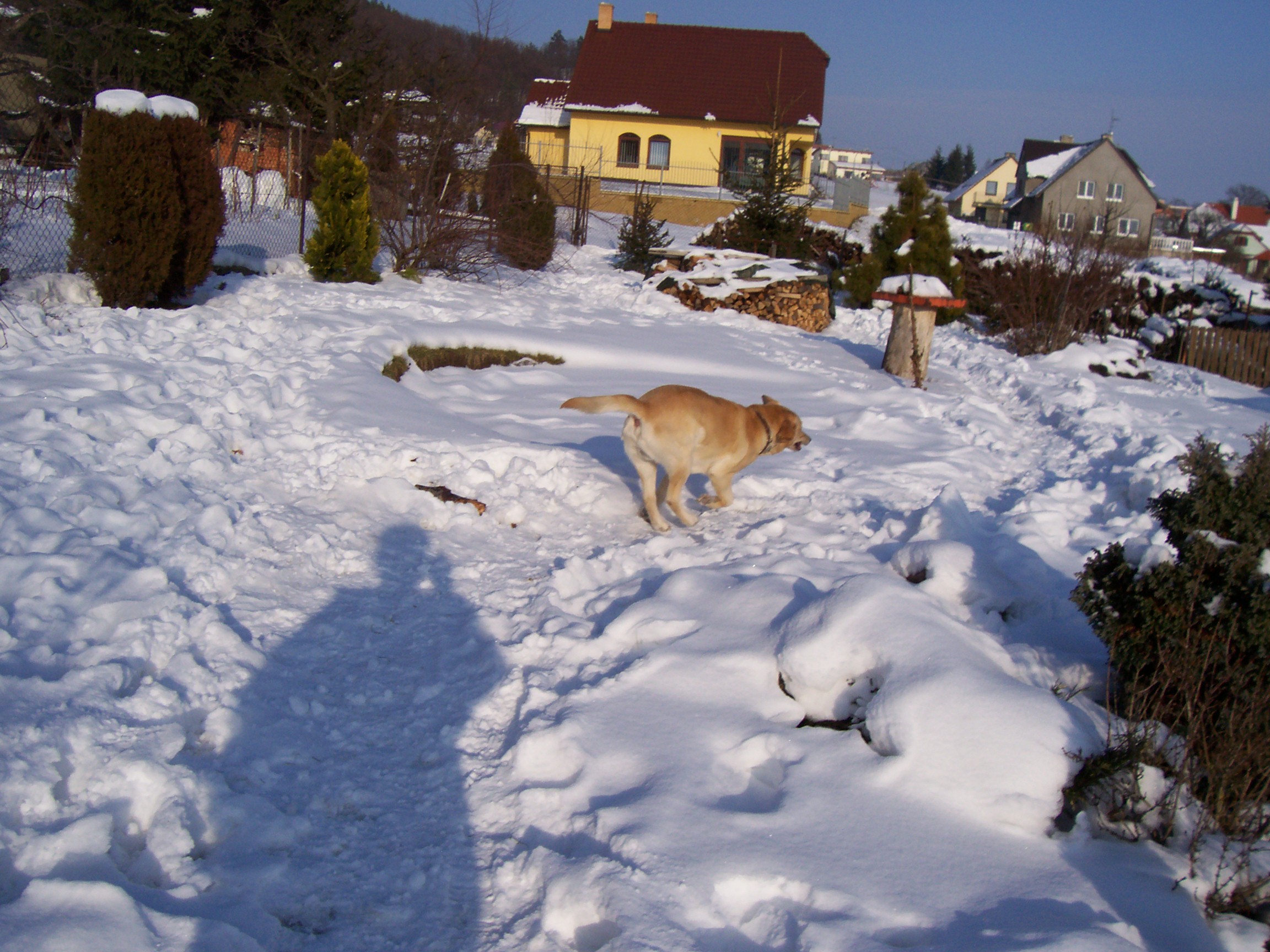 106_7128.JPG